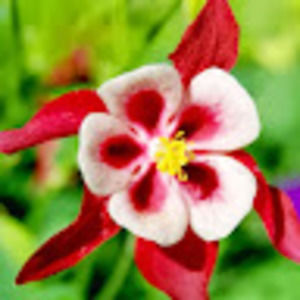 Meet your Posher, Parker